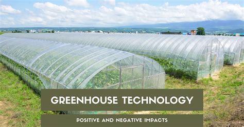 10 Positive And Negative Impacts Of Greenhouse Technology Hubvela