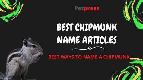 Chipmunk Names - Over 100 Great Ideas For Naming Your Chipmunk