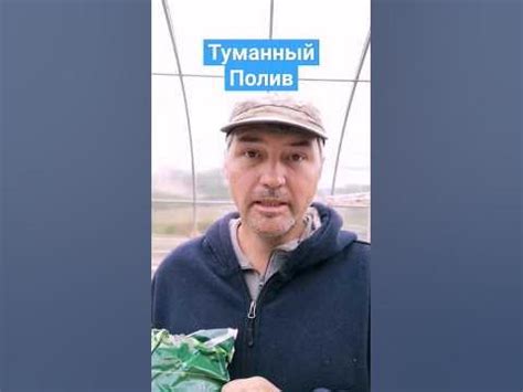 Смонтировать туманный полив в теплице может каждый! Я счастлив. #шортс ...
