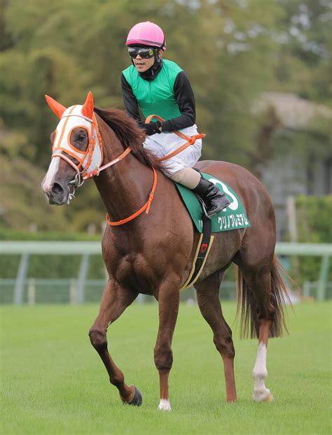 【府中牝馬s】松岡正海騎手が騎乗し、クリノプレミアムが美浦・wコースで5ハロン66秒6 Umatoku 馬トク