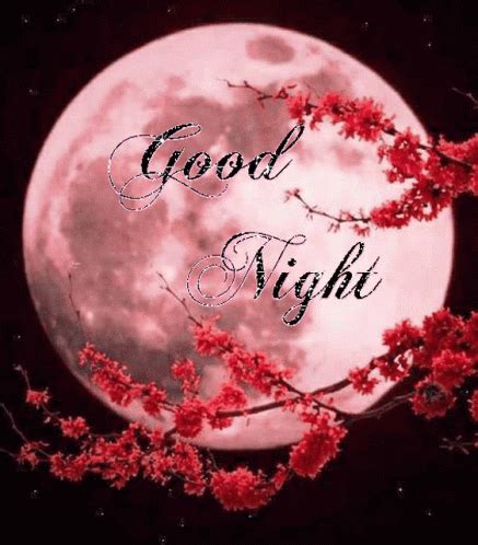 good night gif images infoupdateorg