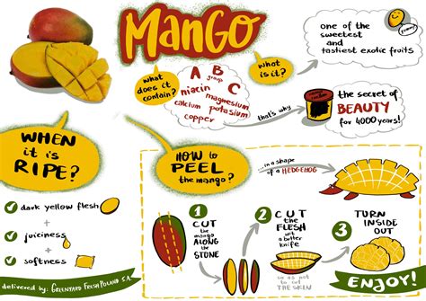 Infographic for Greenyard Fresh Poland - Explain Visually