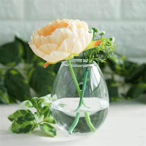 Egg Shaped Glass Wall Vase Indoor Wall Mounted Planters Hanging Terrariums