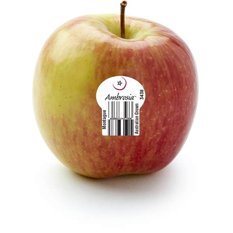 Ambrosia Apple Each | Woolworths