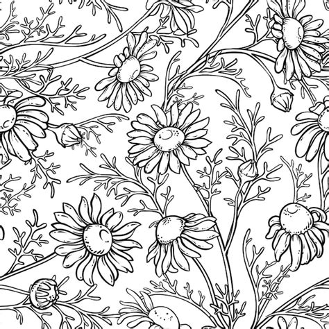 Premium Vector Chamomile Seamless Pattern