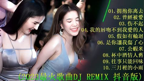 Chinese Dj 2023【你的样子 ♪ 九百九十九朵玫瑰 ♪ 特别的爱给特别的你 ♪九十九步退一步 ♪ 口是心非 ♪ Hot