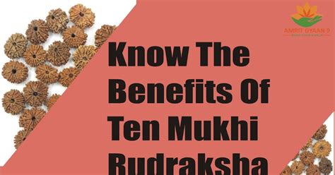 Amrit Gyaan Know The Benefits Of Ten Mukhi Rudraksha