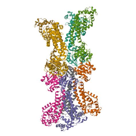 Rcsb Pdb Y D Cryo Em Structure Of The Mycobacterium Smegmatis Dna