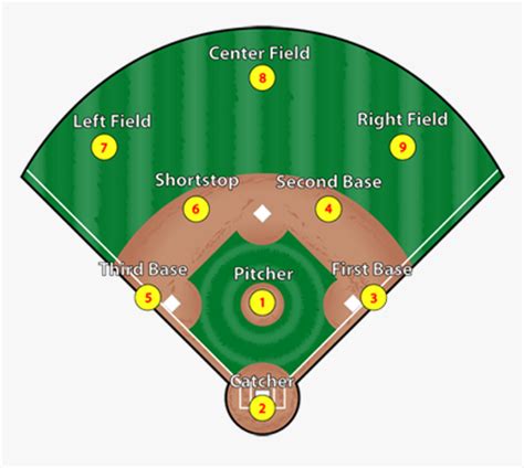 Baseball Positions, HD Png Download , Transparent Png Image - PNGitem