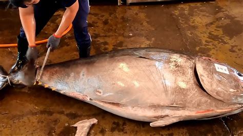 Perfect And Comfortable Bluefin Tuna Cutting Process And Skill Youtube