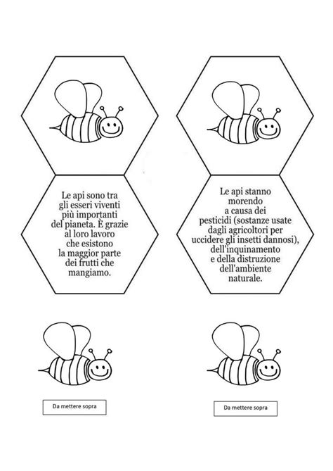 Pin Su Scienze Nel Scienza Per Bambini Lezioni Di Scienze Scienza