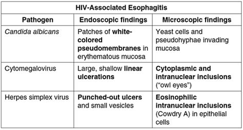 Cmv Vs Hsv Esophagitis Usmle - Previzualizare Hambar Simpatie Cowdry ...