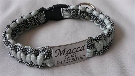 5 Cool Personalised Dog Collars With Name You Need To See