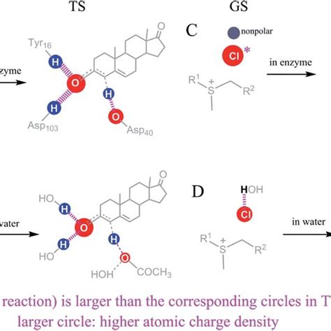 Effects Of Enzyme Substrate Interactions On The Free Energy Difference