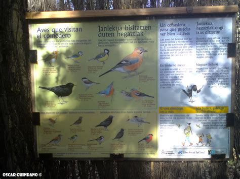 Navarra al natural Más sobre el observatorio de aves de Orgi