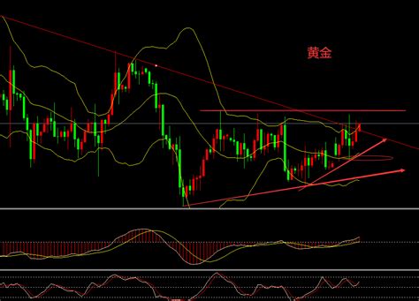 张文辉：黄金跃跃欲破 原油中金在线财经号