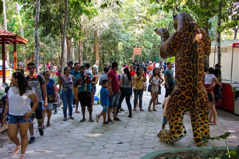 Visitantes Lotam Bioparque Da Amaz Nia Desde O Dia Da Reabertura