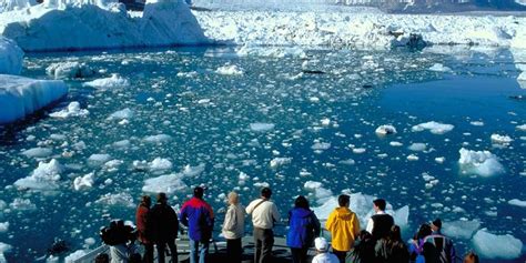 Alaska Cruise & Denali National Park - Glen Travel