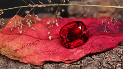 Garnet | Not January Only Birthstone — birthstone.guide