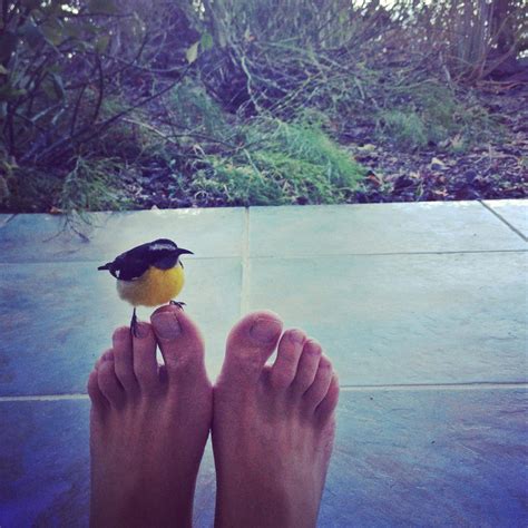 Raviv Ullman's feet