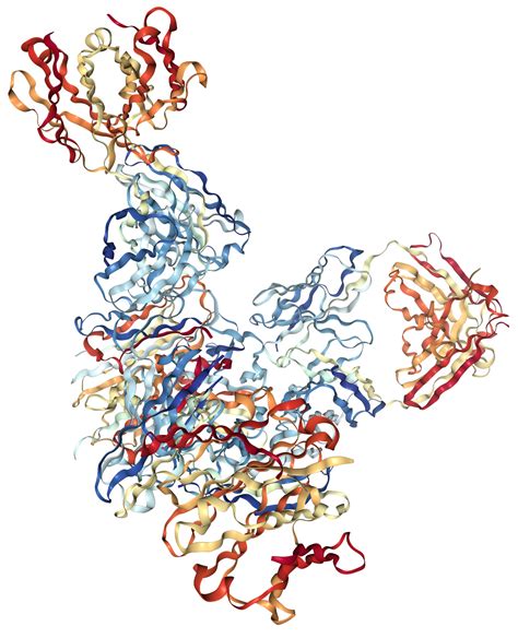 Lymphotoxin alpha/TNF beta Protein Overview | Sino Biological