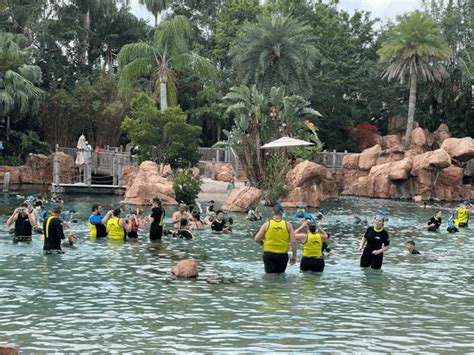 Is Discovery Cove Worth It A Complete Review Cost Comparison