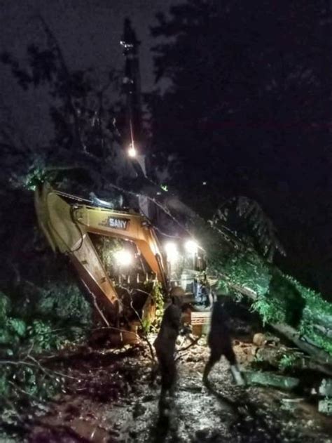 Dinas Kebersihan Dan Pertamanan Kota Medan Turunkan Tim Penebang Pohon