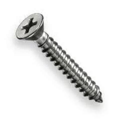 Stainless Steel Ss Self Tapping Screw At Rs 1 52 Piece In Ahmedabad