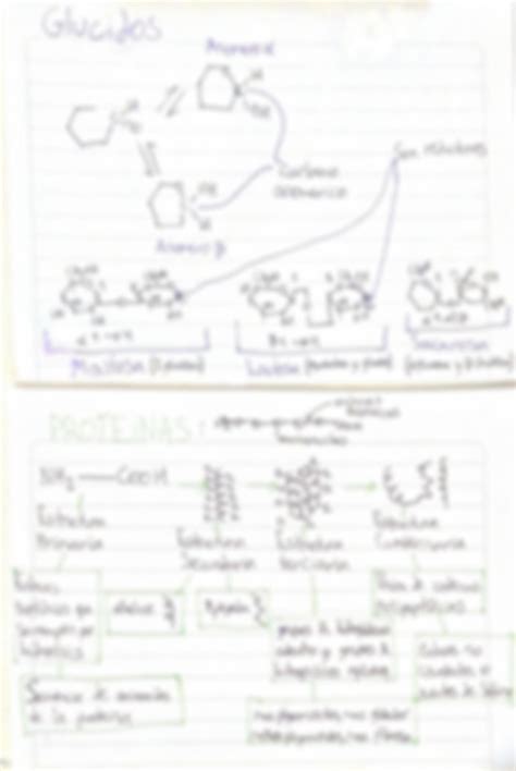 SOLUTION Introducci N A La Biolog A Celular Y Molecular Resumen