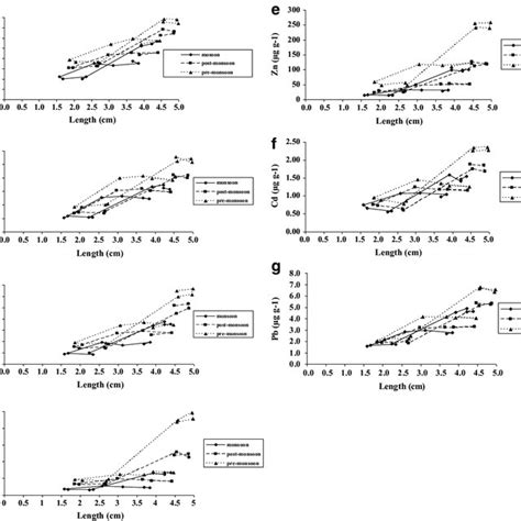 A Iron Concentrations μg G −1 Versus Length Cm In Bivalves During Download Scientific