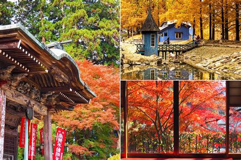 【東京から2時間】日帰り紅葉狩りにもおすすめ♪一都三県の紅葉スポット9選～幻想的な雲海との競演も～ ｜ ことりっぷ