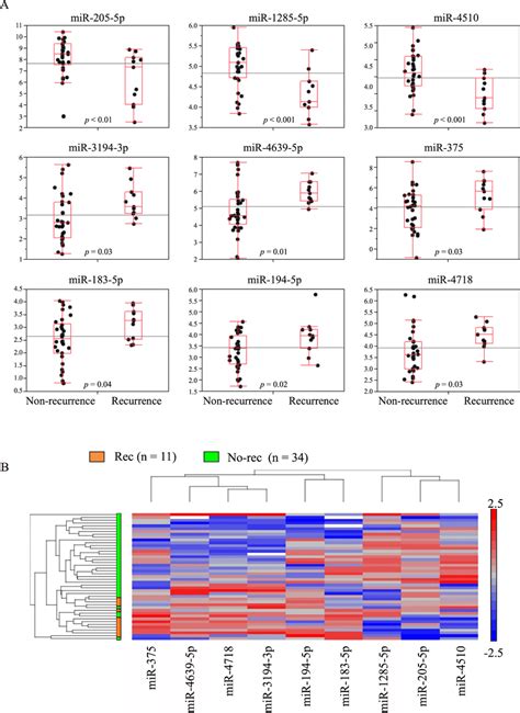 Candidate Mirna Selection Based On Mirna Microarrays A Box Plots Of