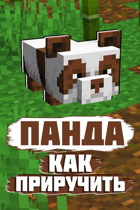 Панды в Minecraft #minecraft #майнкрафт #minecraft_tutorial #майн #дома ...