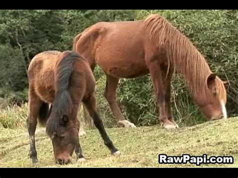 Caliente Sexy Latino Gay Anal Fuertes Hardcore XVIDEOS