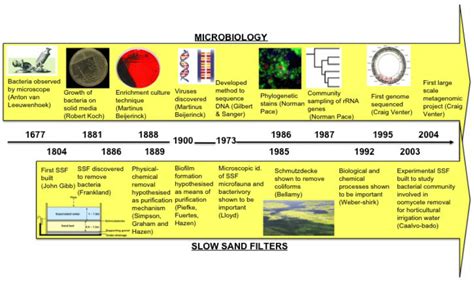 Microbiology Media Chart A Visual Reference Of Charts Chart Master