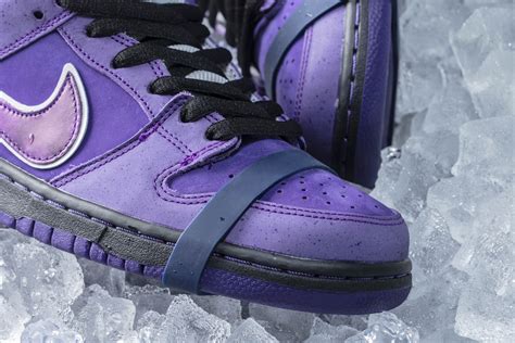 Your First Look At The Nike X Concepts Sb Dunk Low Purple Lobster