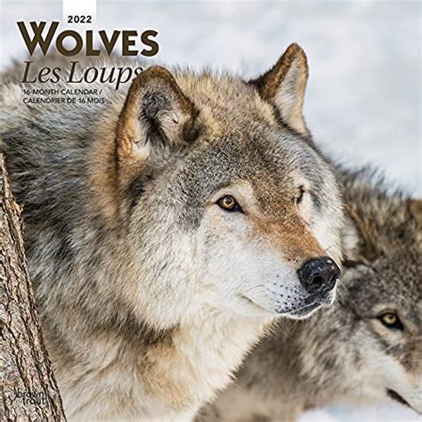 GET PDF Wolves Les Loups 2022 12 X 12 Inch Monthly Square Wall