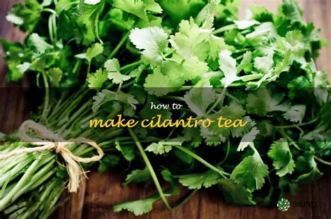 Brewing Up A Cup Of Refreshing Cilantro Tea A Step By Step Guide Shuncy