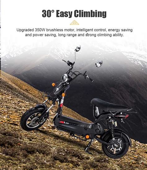 Electric Motorcycle Scooters 2024 Electric Bicycle Mountain E Bike Fat