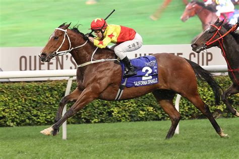 世界馬壇精英踴躍報爭浪琴香港國際賽事 賽馬新聞 香港賽馬會