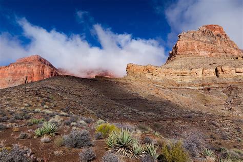 Grand Canyon North Rim Clear Creek Trail Photograph By Arlene Waller Fine Art America