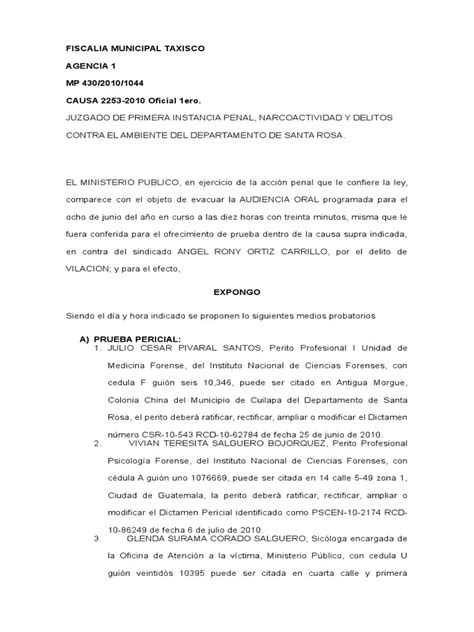 Audiencia Oral Medios De Prueba Pdf Testigo Experto