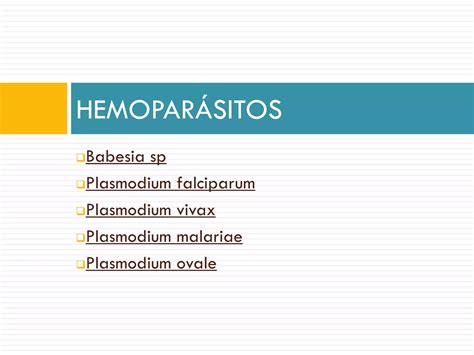 Parasitosis Humanas MorfologÍa Ppt Descarga Gratuita