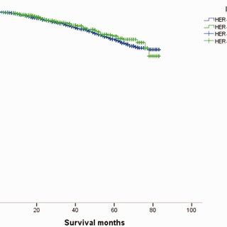 Overall Survival Os Curves Of Patients With Female Breast Cancer In