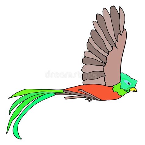 Quetzal Stock Illustrations 634 Quetzal Stock Illustrations Vectors