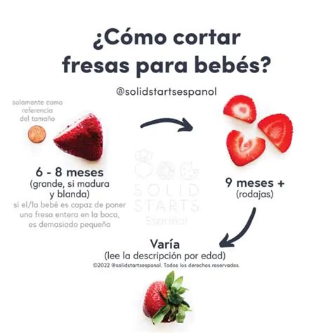 Fresas Para Bebés ¿cuándo Pueden Comer Fresas Los Bebés Solid Starts