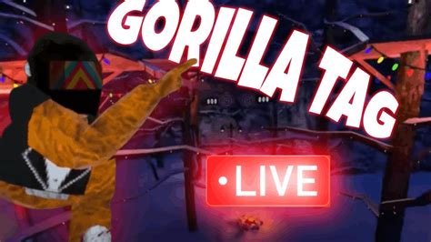 Gorilla Tag With Viewers Minigames More Youtube