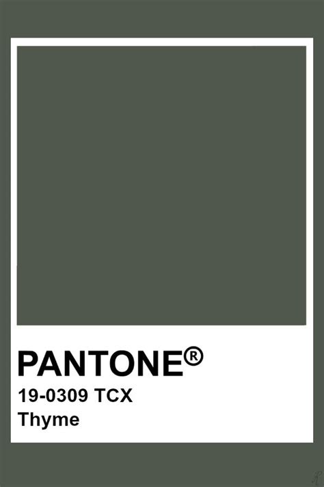 pantone thyme kleurenpalet muur kleuren kleurencombinaties