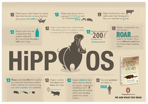 Pin by ★ Hannah Jane ★ on Animal Information | Hippo facts, Hippo