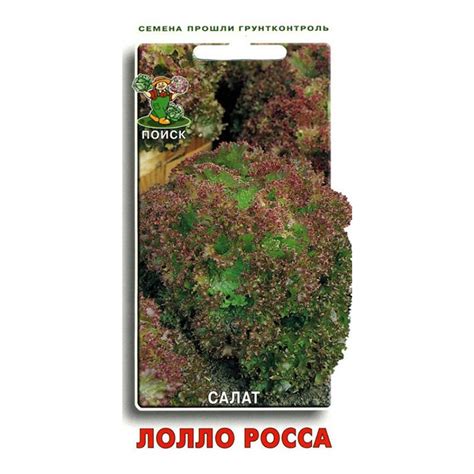 Салат Лолло Росса Поиск 1 г — купить в Санкт-Петербурге: цены ...